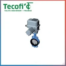 Бернар OA Tecofi. Электрические приводы для дисковых затворов VP3448-02.